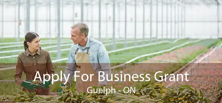 Apply For Business Grant Guelph - ON
