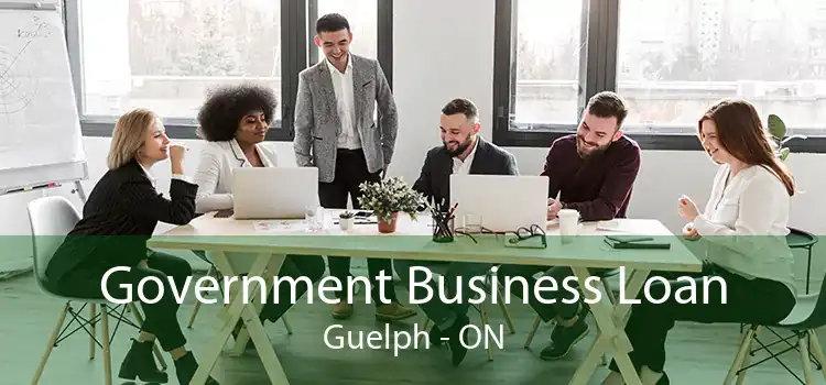 Government Business Loan Guelph - ON